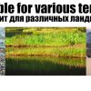 Род под SBY2-123 — изображение 10